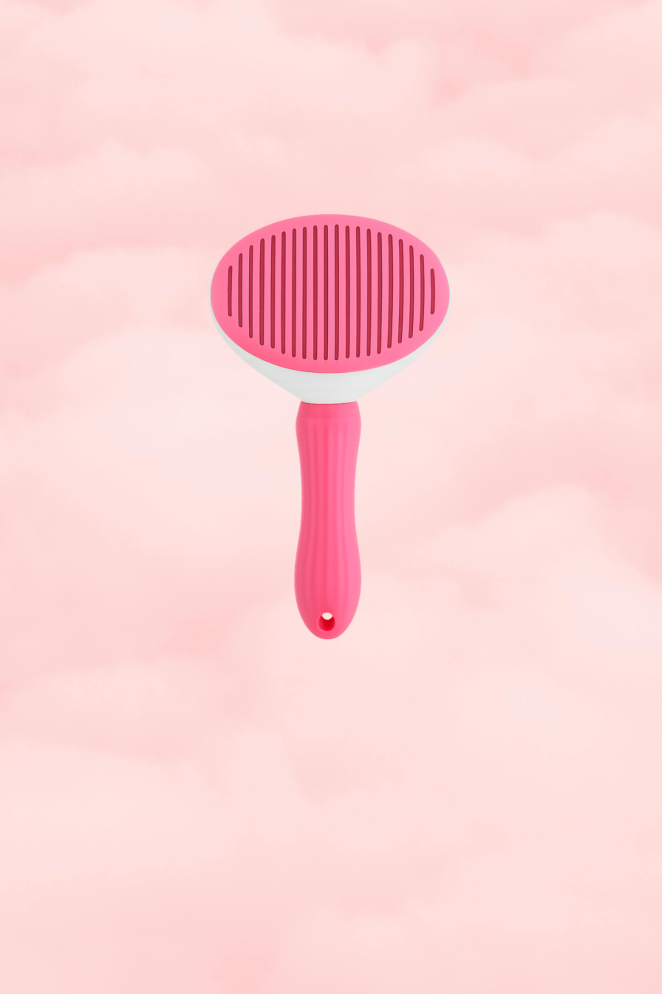 Brosse AutoClean
