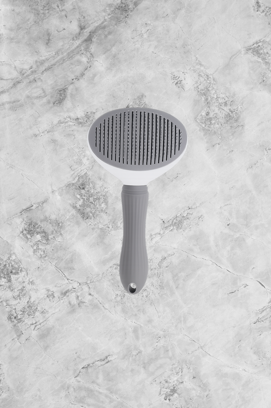 Brosse AutoClean