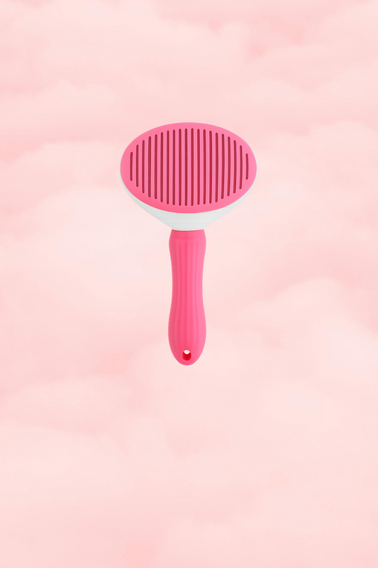 Brosse AutoClean